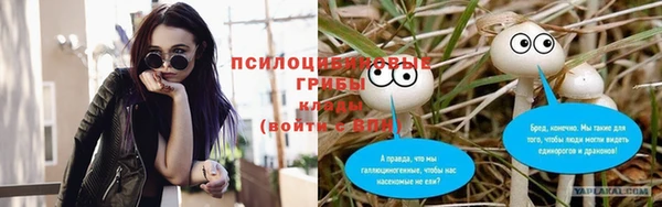 меф Корсаков