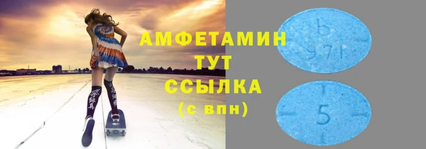 гидра Краснослободск