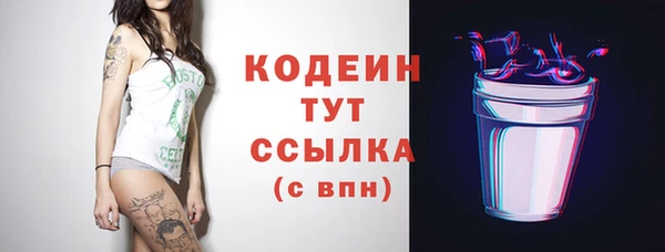 шишки Костерёво