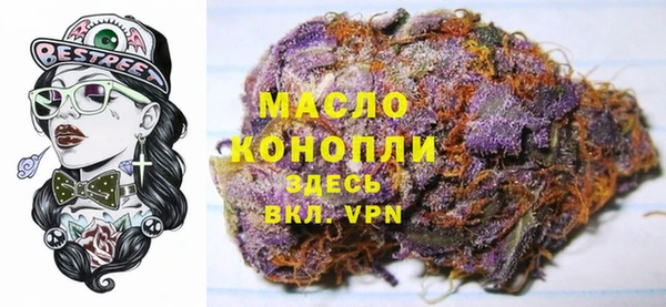 гидра Краснослободск