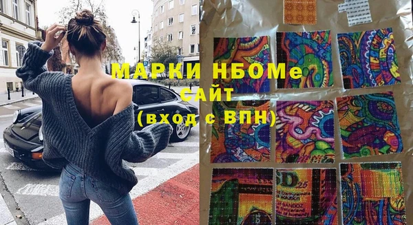 гидра Краснослободск