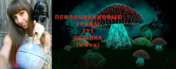 меф Корсаков
