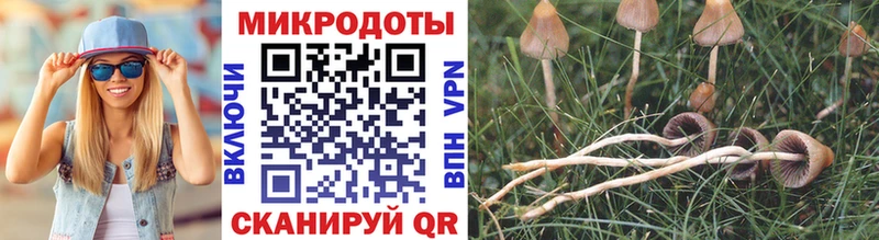 Галлюциногенные грибы Cubensis Лабытнанги